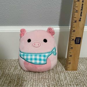 Pig squish 5”